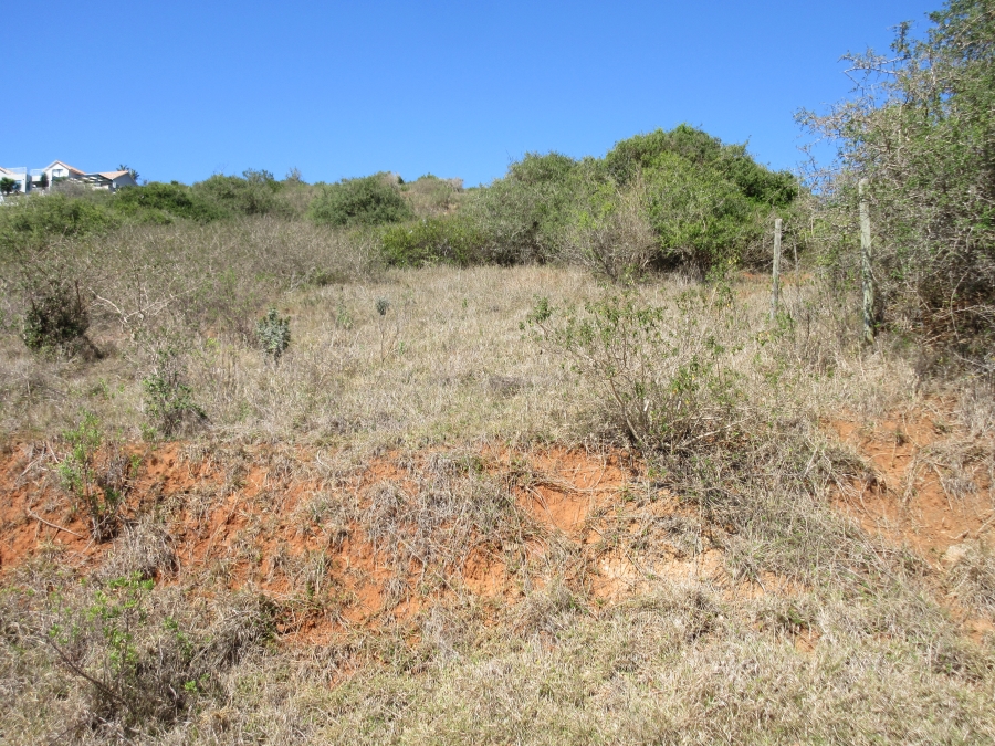 0 Bedroom Property for Sale in Port Alfred Eastern Cape